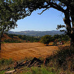Discover Tuscany from your Villa - Four days in Chianti